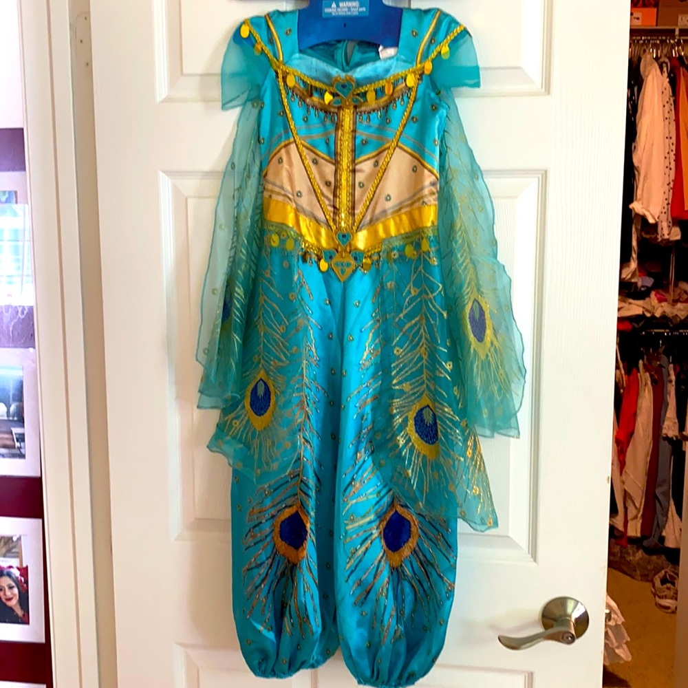 Aladdin Custom
